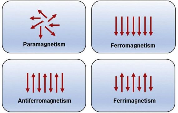 Magnetic Moment